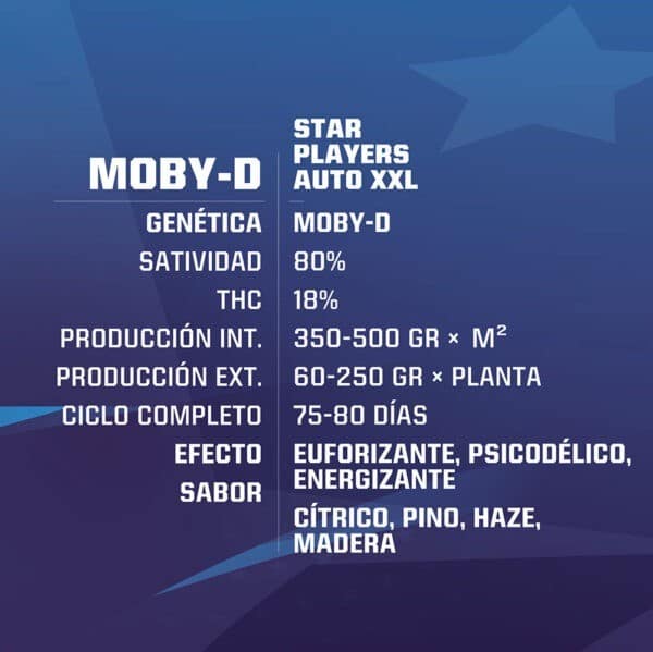 MOBY-D XXL AUTO X4-BSF - Imagen 2
