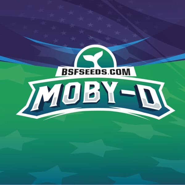 MOBY-D XXL AUTO X4-BSF - Imagen 3