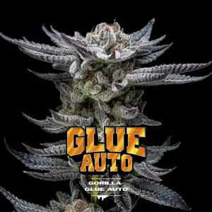 GORILLA GLUE AUTO X4-BSF