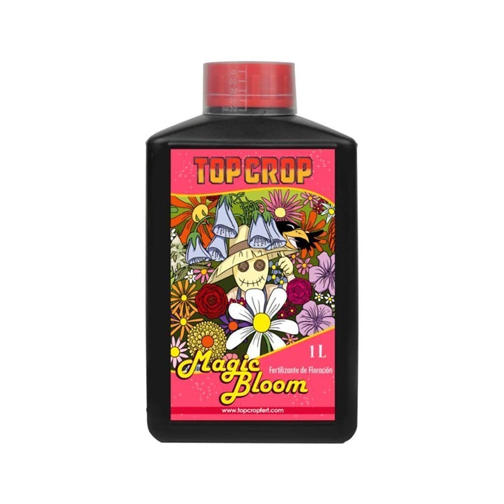 TOP BLOOM 1LT-TOP CROP