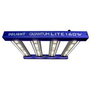 NEW QUANTUM LITE 160W-DELIGHT