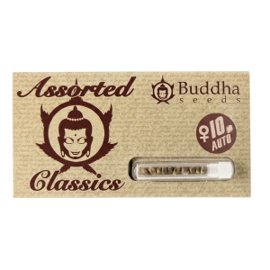 ASSORTED CLASSICS AUTO X10-BUDDHA SEEDS
