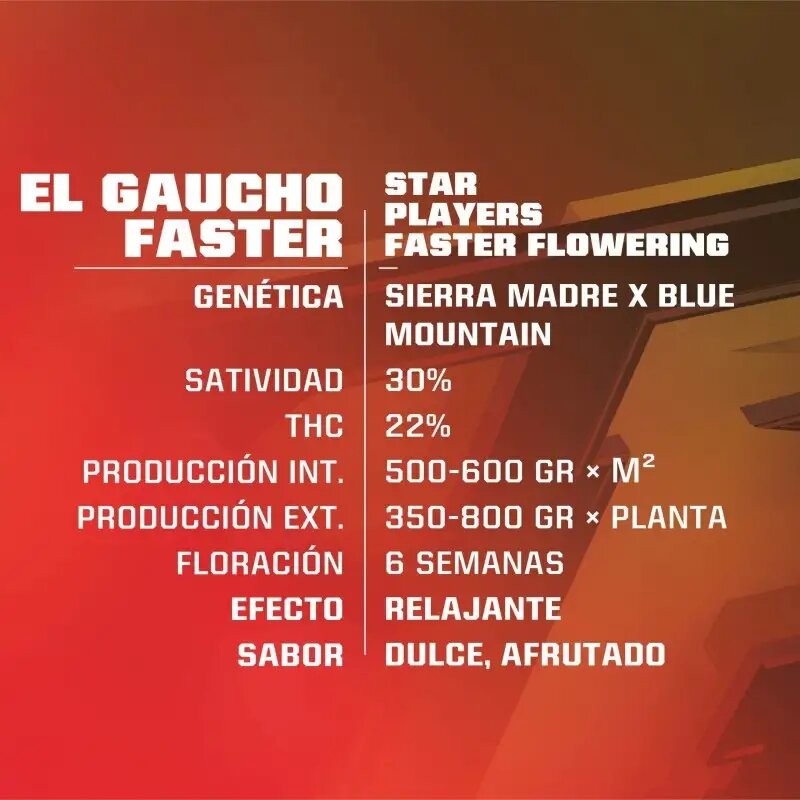 EL GAUCHO FASTER SP X4-BSF - Imagen 2