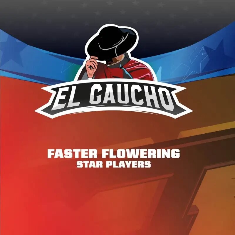 EL GAUCHO FASTER SP X4-BSF - Imagen 3