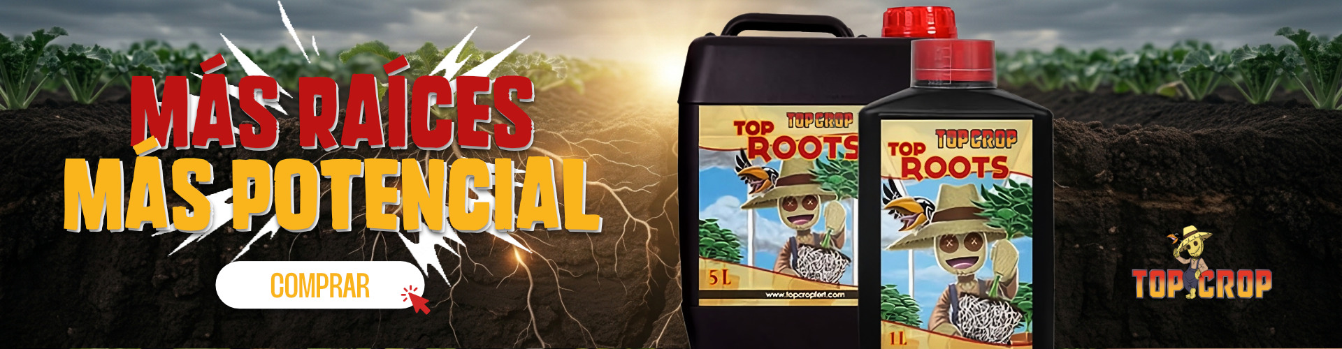 ENRAISANTE TOP ROOTS