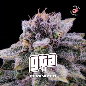 GTA FEM X4-BSF
