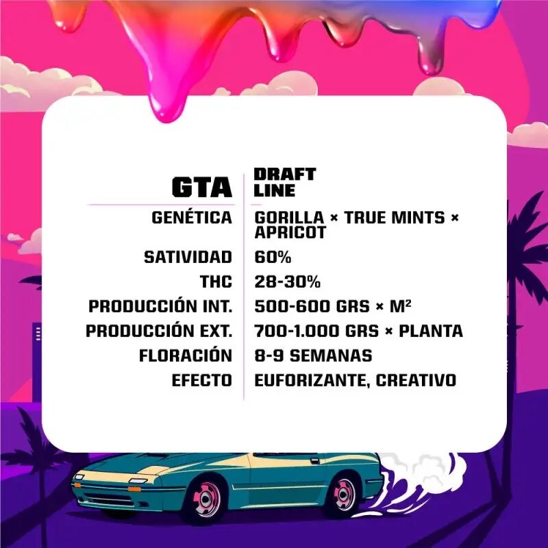 GTA FEM X4-BSF - Imagen 2