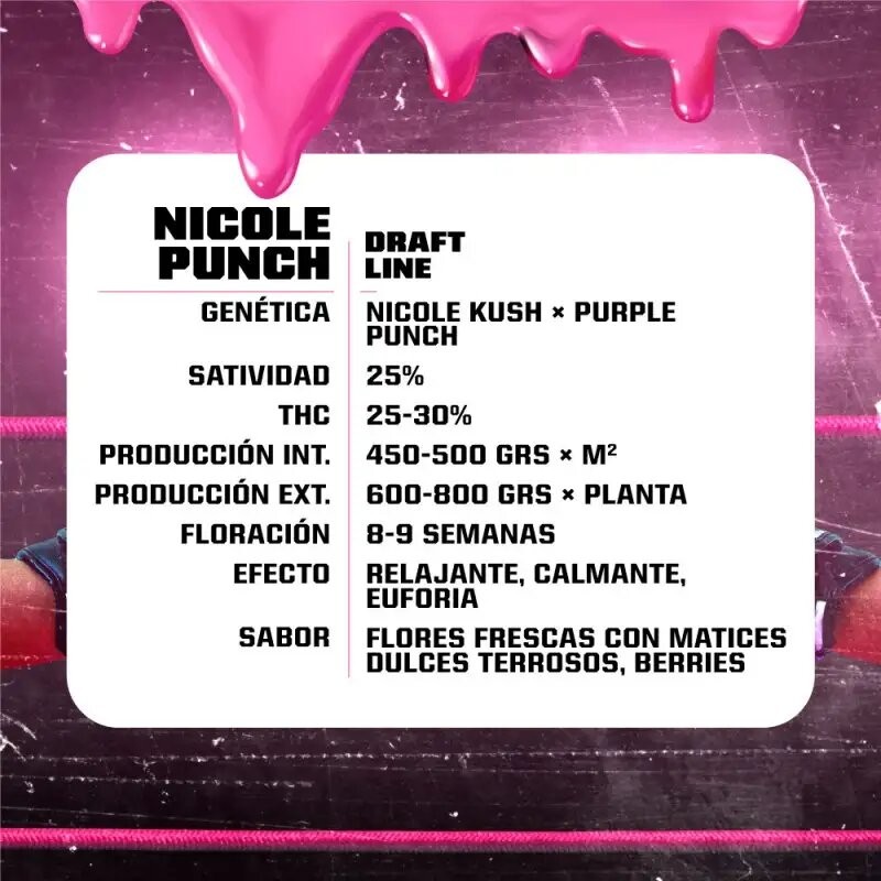 NICOLE PUNCH FEM X2-BSF - Imagen 3
