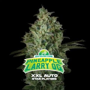 PINEAPPLE LARRY OG XXL AUTO X4-BSF