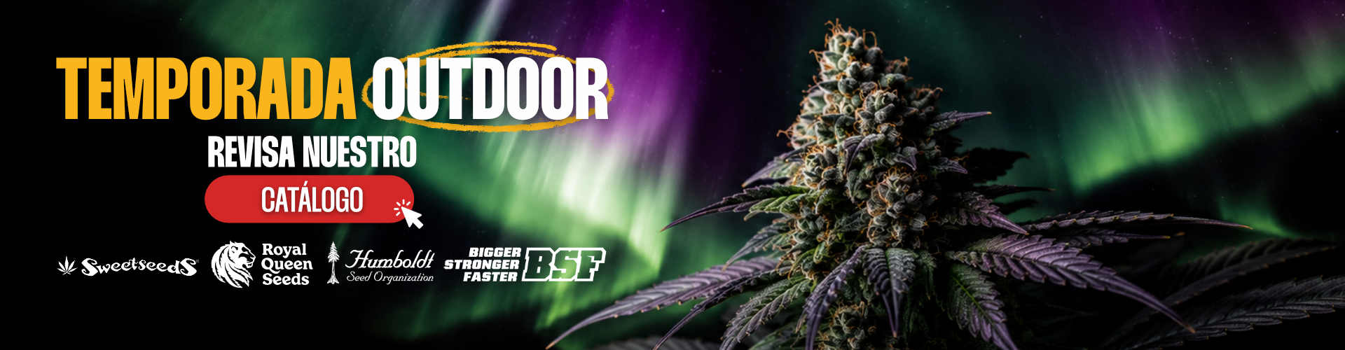 TEMPORADA OUTDOOR