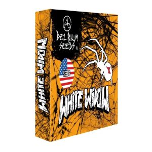WHITE WIDOW FEM X1- DELIRIUM SEEDS